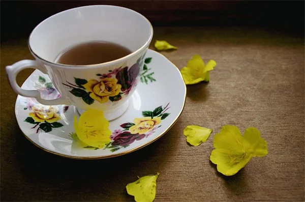 温室不要？直まきで育つ5つの花と失敗しないコツ