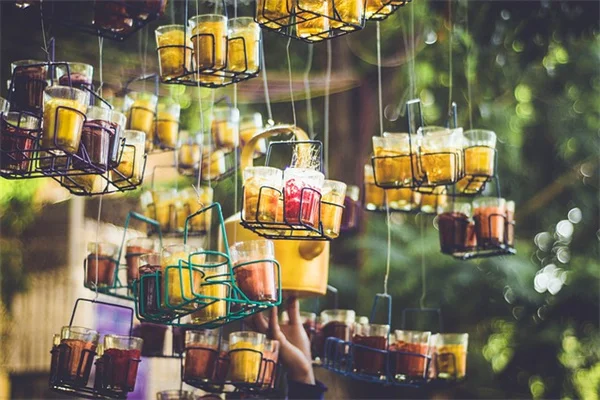 2月に種まきする花7選｜室内で育てるコツとおすすめ品種