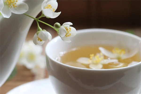 チキンガーデン初心者ガイド：作り方とおすすめ植物