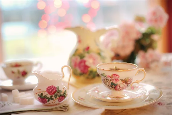 ダークレッドの花で庭に深みを！おすすめ5品種と育て方